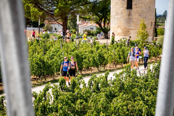 Nous vous attendons pour les Journées Portes Ouvertes de Saint-Émilion